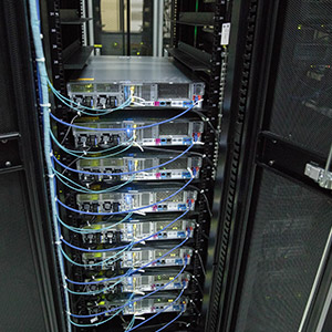 神农架案例展示